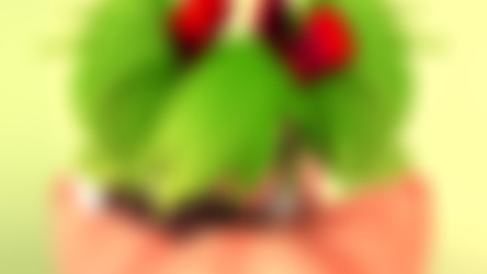 Gecko/Paladins/Evie Christmas NSFW.mp4